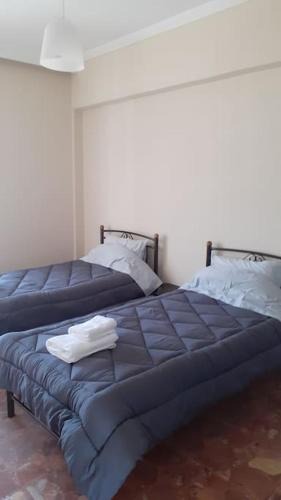 Karditsa Apartment | Βαγγέλης