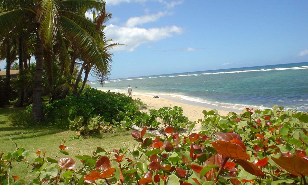 Mokuleia House | Beach Front Estate w/Guest Cottage, Sandy Beach, Heated Pool/Spa: Please Inquire