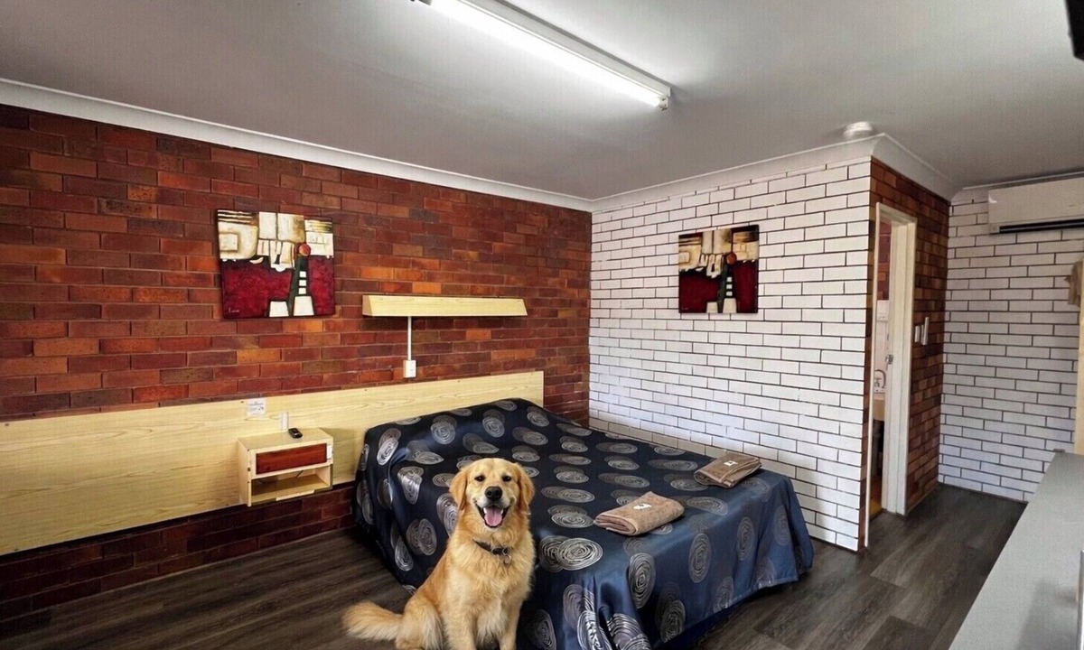 Glen Innes Hotel | Glen Innes Lodge Motel