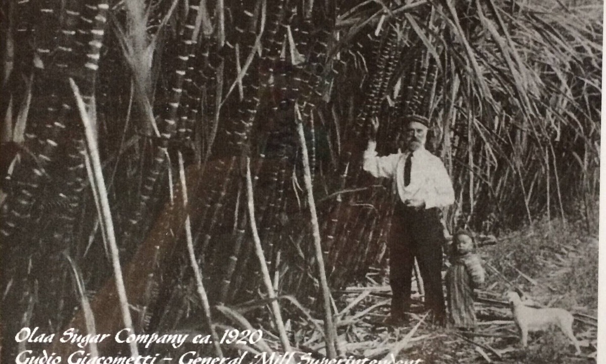 Volcano Cottage | Historic Sugar Era Home Close to National Park – A Local Staycation Favorite!