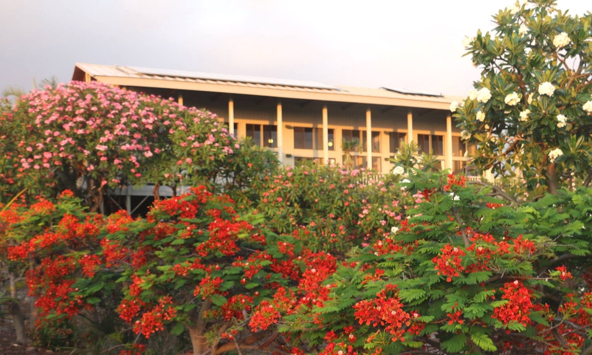 Kohala Estates House | Kepharts' Ocean-view Hale: A Home Away from Home