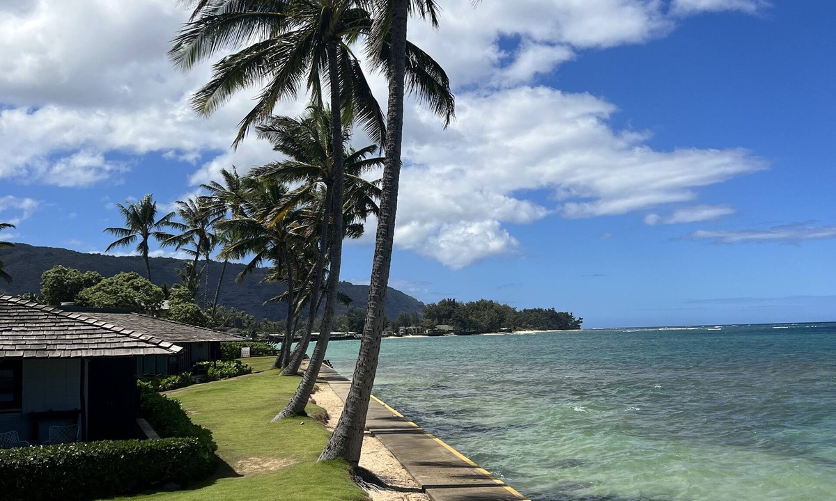 Waialua Condo | Live like a Local. Stay at a Beautiful Boutique Get Away Mokuleia Beach Colony