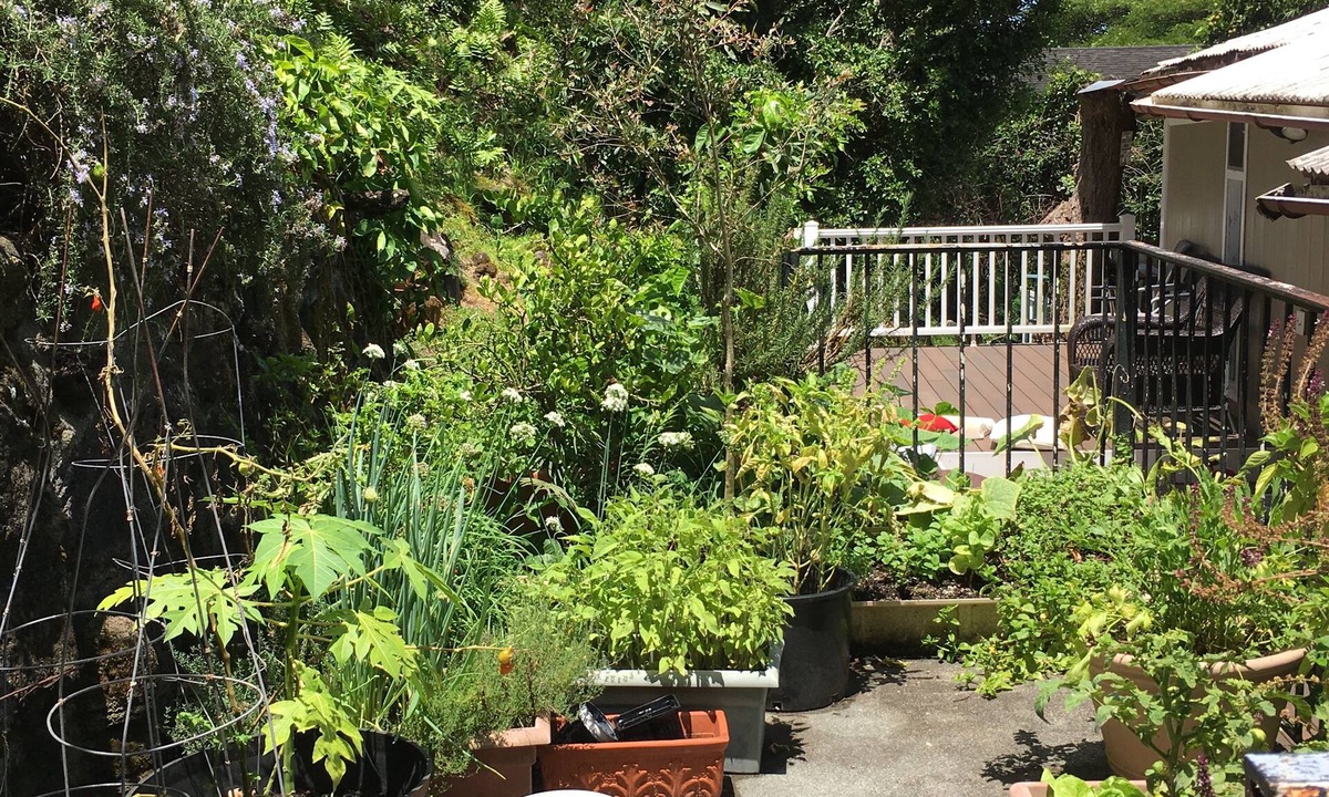 Kalihi Valley House | Ohana Home TA-174-591-3856-01 TMK 140010570000