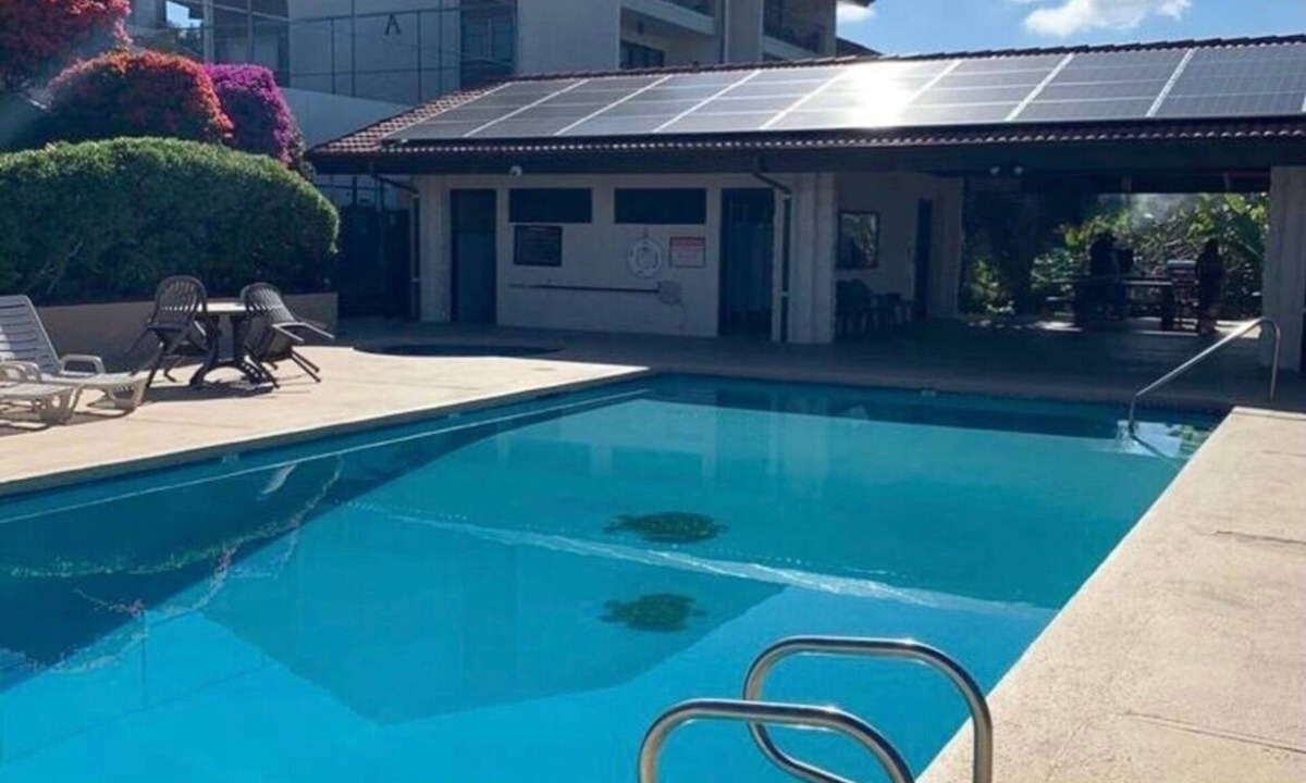 Honalo House | Peaceful 180° Ocean View Getaway in Hawaii!