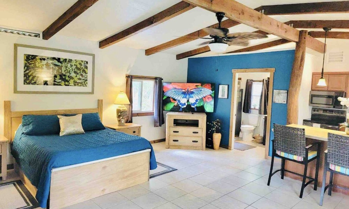 Leilani Estates Apartment | Private Cabin Suite/ SPA see LAVA at Volcano National Park