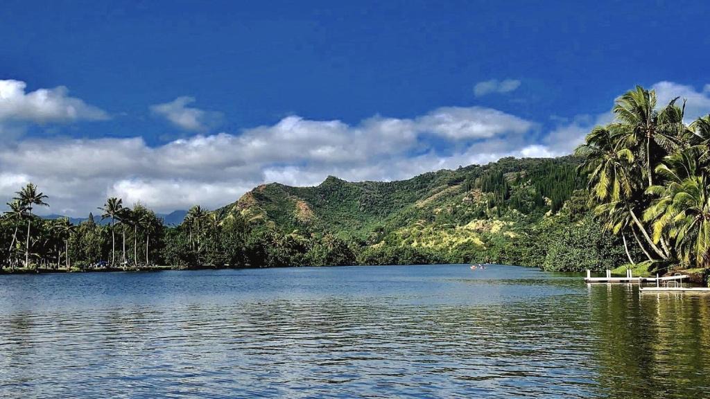 Wailua Apartment | Wailua Riverside Cottage - TVNC #1293 AC Kayaks, Paddle Boards!