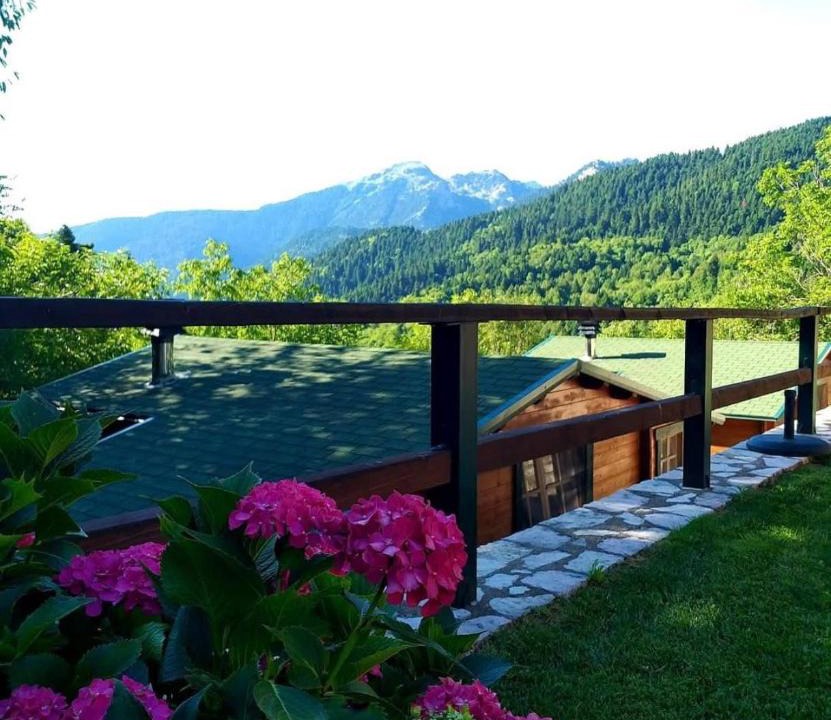 Lake Plastiras Ski Chalet | Wild Life