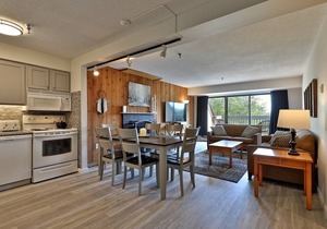 Beautiful Renovated 1BR/1BA Condo Next to Mountain 3C13