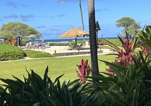 Oceanfront Resort, 4 Beautiful Pools, 2 Jacuzzis, Steps to Beach, ocean views!