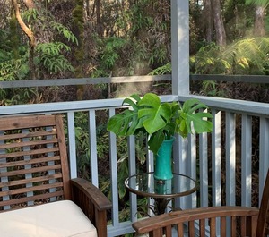 Liko Lehua Cottage 