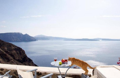 Oia Apartment | 45 m² Apartment ∙ 4 guests
