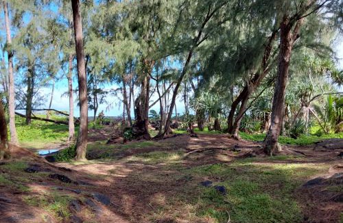 Ainaloa House | Ainaloa Home of Big Island for Queens size bedroom