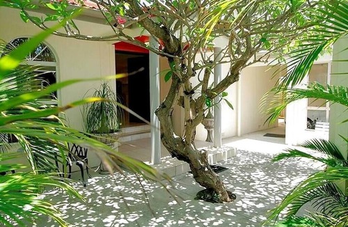 Surfers Paradise House | Artist’s Private Recluse - Surfers Paradise