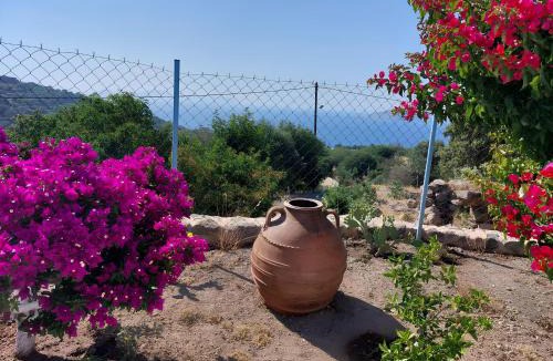 Mandraki House | «Astrofeggia» A private stone house Nature-Seaview