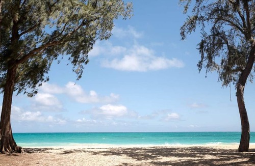 Waimanalo Beach House | Bright 3-bedroom tropical house in Waimanalo Beach Lots