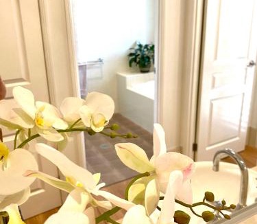 Casuarina Apartment | Casuarina Beach 2 bedroom retreat