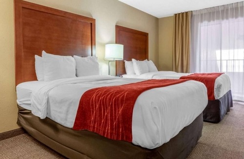 Albuquerque Hotel | Comfortable Albuquerque Hotel Rooms, with Indoor Pool & Free Breakfast - 4 Units