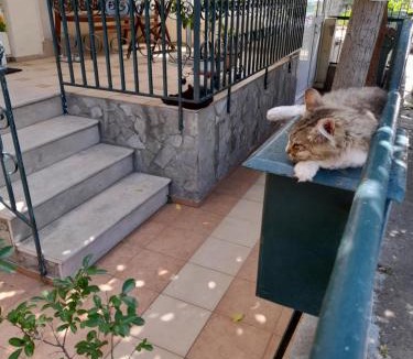 Xanthi Apartment | Friendly Philoxenia