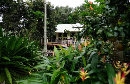 Kilauea Cottage | Gilligan's-secluded air-conditioned Cottage Near Gorgeous Beach-TVNC-4189