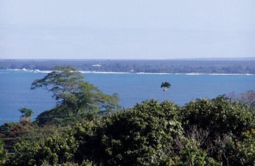 Papaikou House | Island Goode's - Luxury Adult Only Accommodation near Hilo