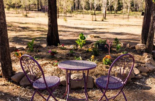 Grandchester House | Kenny and Clancy's Camp by Tiny Away