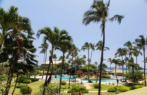 Hanamaulu Apartment | Last Minutes Special with Gorgeous Kauai beach resort, romance and fun