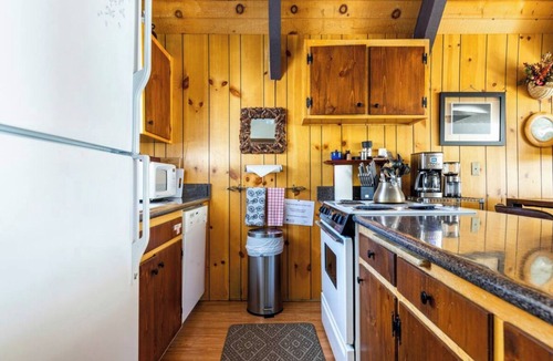 Mammoth Lakes House | MVV 39-Retro Ski Cabin Retreat! 2 Bedrooms+Loft/2 Bathroom close to village