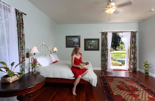 Kapaau Hotel | Ocean View Suite @ Hawaii Island Retreat an Eco-Boutique Hotel
