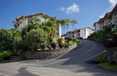 Honalo House | Peaceful 180° Ocean View Getaway in Hawaii!