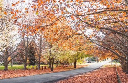 Tenterfield House | Pretty Pink Queenslander - Spectacular Views, Space and Serenity