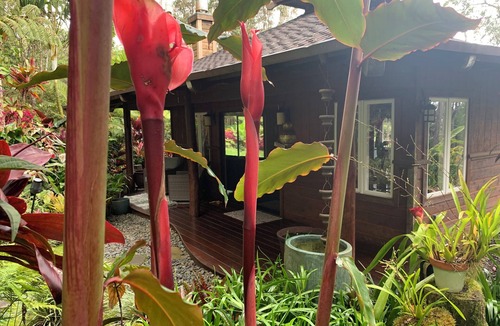 Kailua-Kona Cottage | Private Cottage In The Rain Forest TA065882726401