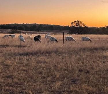 Emmaville Villa | Rust & Timber Farmstay
