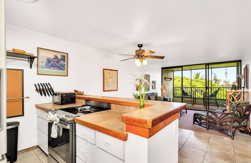 Hilo Condo | Sea Turtle Suite - Steps from Carlsmith Beach!