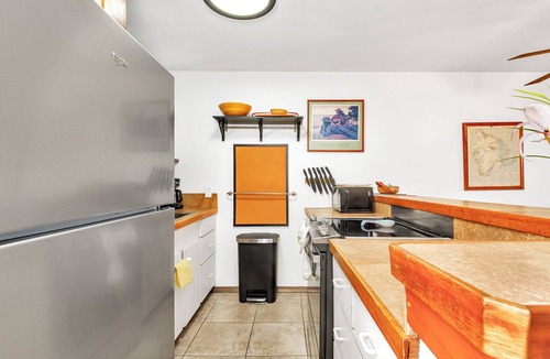 Hilo Condo | Sea Turtle Suite - Steps from Carlsmith Beach!