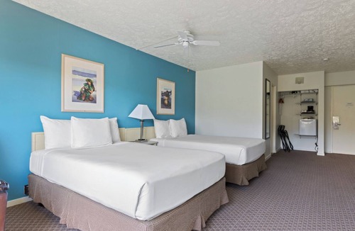 Kahului Hotel | Seaside Retreat | 2 Pet-Friendly Units | 4.7 mi to Maui Tropical Plantation