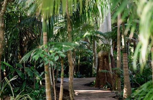 North Tamborine Cabin | Shambala Estate