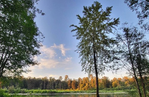 Monroe House | Sky River Estate 2.0 - Private & pet-friendly with sandy beach