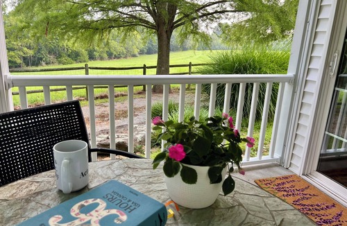 Goreville Cottage | Spacious Cabin with Beautiful Sunsets in the Heart of Hiking and Wine Country