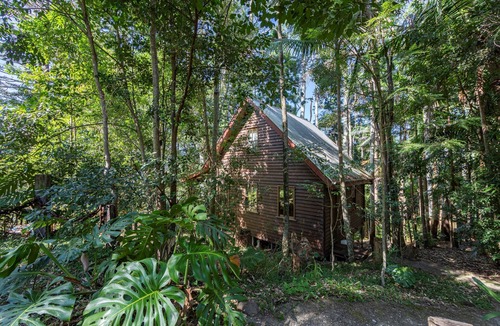 Mount Glorious Cottage | Turkey's Nest - Rose Gum Cottage