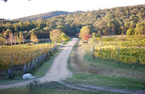 Ballandean House | Twisted Gum Vineyard Cottage
