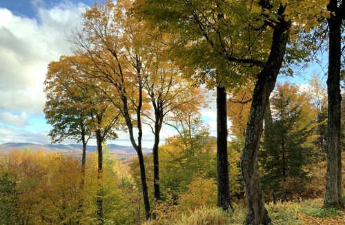 Mad River Valley House | Unique mountain side home 1 mile from Sugarbush Ski & Golf Resort