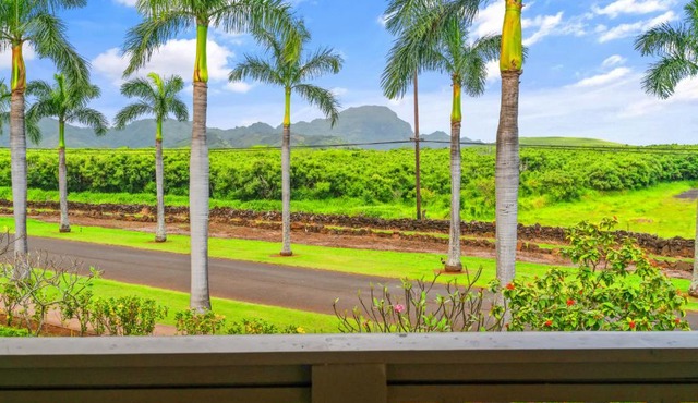 4 Bedroom Mountain View Condo at Pili Mai
