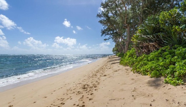 Aloha Studio – AC, Near Beach, Near PCC