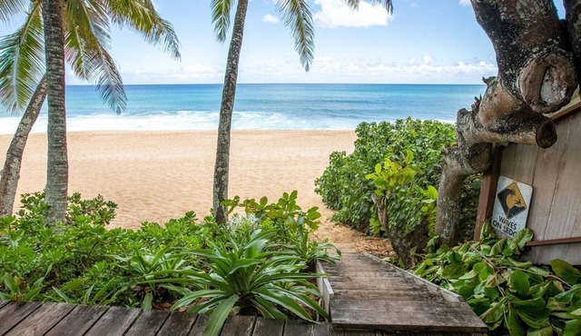 Banzai Surf Escape -w/AC, Epic beach by the house!