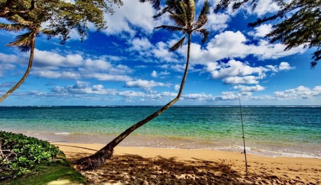 Beach Front Condo-Everything you can dream of for a Hawaiian getaway is here!