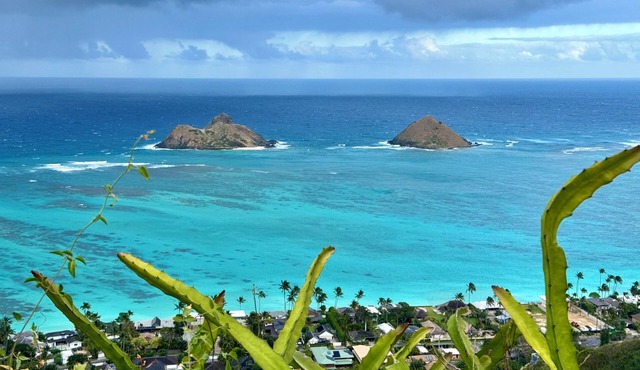 Beach Studio with private yard in Lanikai - 30 day Minimum Stay