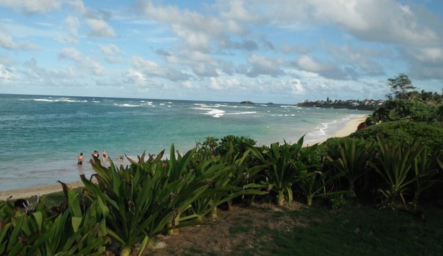 Beautiful 2 Bedroom Hukilau Beach Apt.