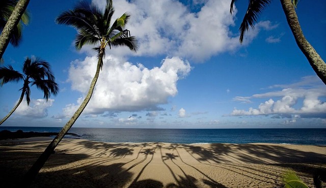Beautiful North Shore Home at Ke Iki Beach. 30-day minimum bookings.