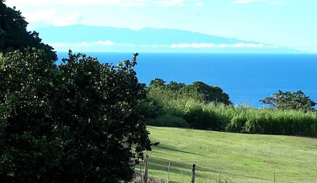 Beautiful ocean views located minutes away from Waipio Valley