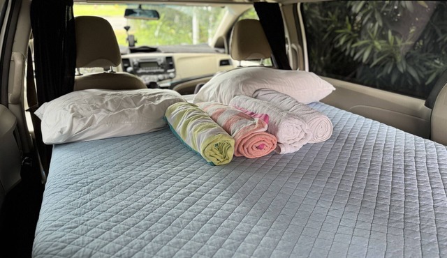 Budget Friendly Camping Experience